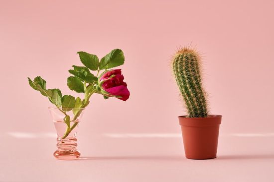 Pink and Green